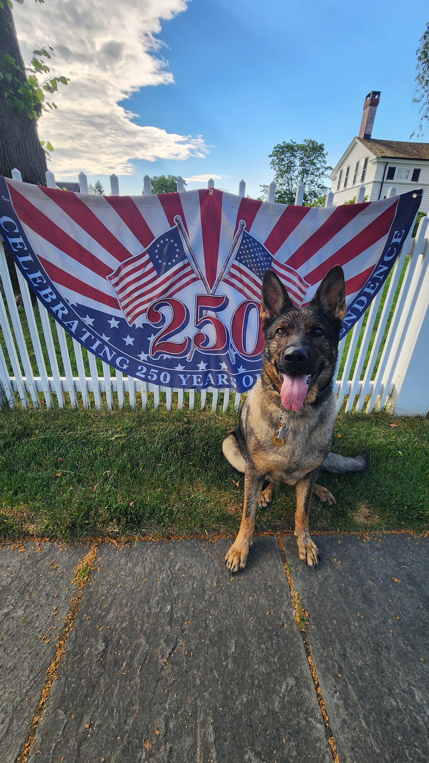 USA Flag Pet ID Tag