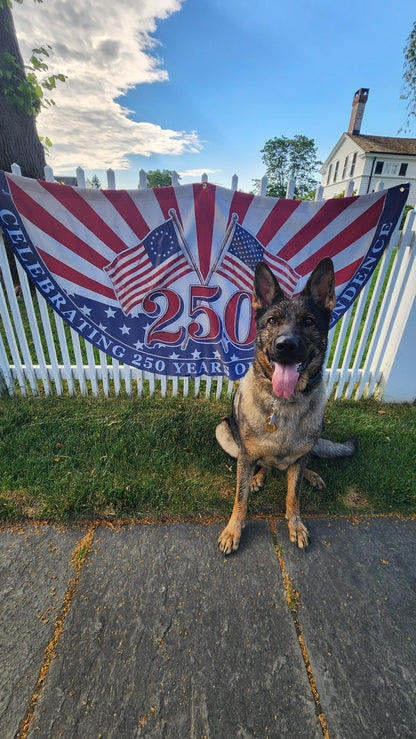 USA Flag Pet ID Tag
